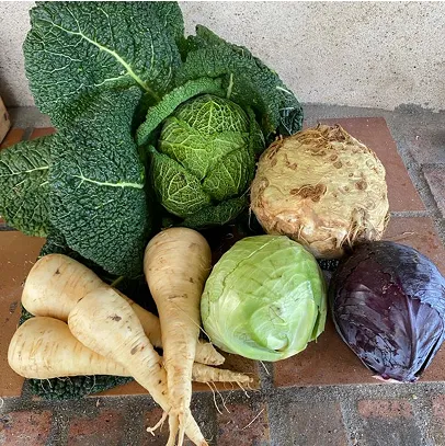 Assortiment de légumes frais : choux, céleri-rave, panais, chou vert, chou rouge à Aunay-sous-Auneau près de Chartres en Eure-et-Loir 28
