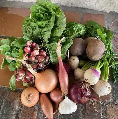 Un assortiment de légumes frais: laitue, radis, oignons, échalotes, betteraves, et navets à Aunay-sous-Auneau près de Chartres en Eure-et-Loir 28
