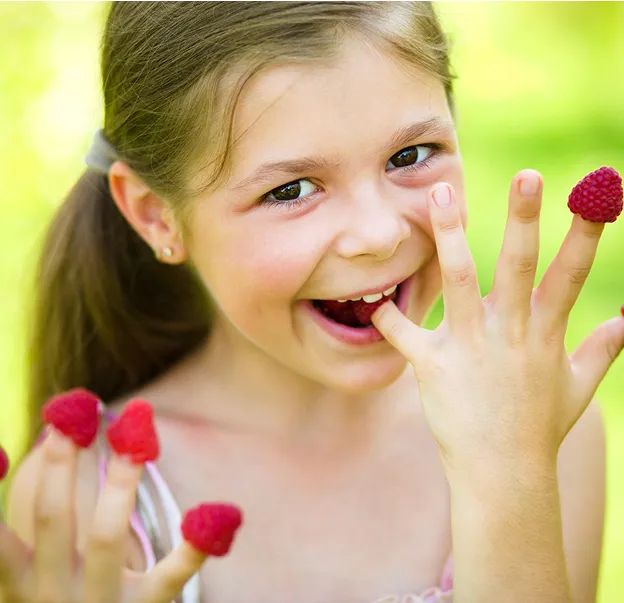 Jeune fille joyeuse mangeant des framboises, un fruit sur chaque doigt à Aunay-sous-Auneau près de Chartres en Eure-et-Loir 28