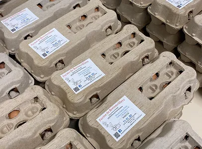 Cartons d'œufs empilés avec étiquettes Ferme de Bretonvilliers, date d'emballage visible à Aunay-sous-Auneau près de Chartres en Eure-et-Loir 28