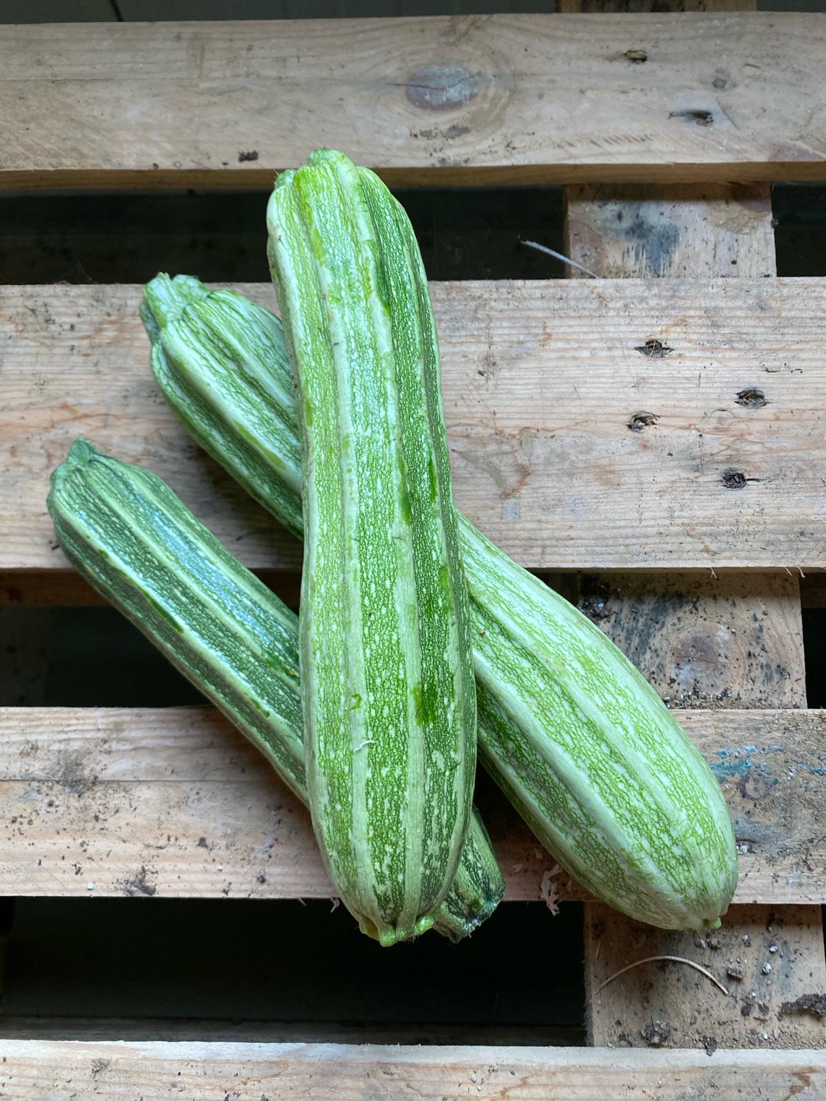 Nom du produit