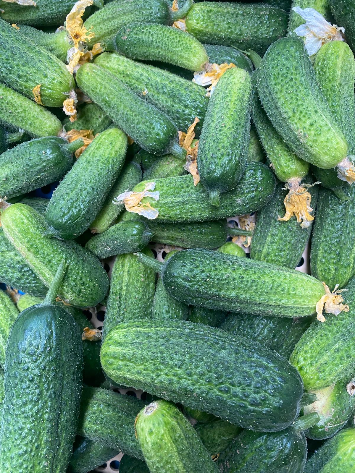 Nom du produit